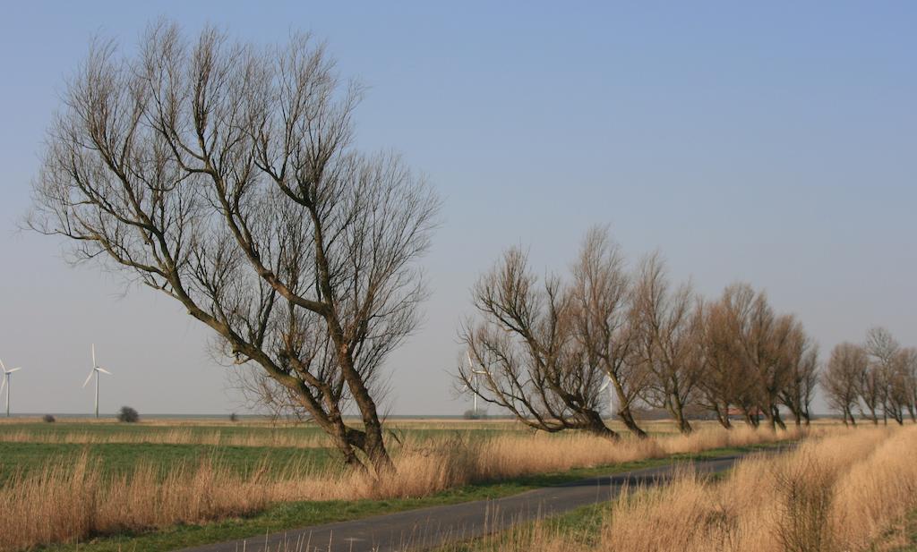 Landhaus Krabbe Von Greetsiel Zewnętrze zdjęcie