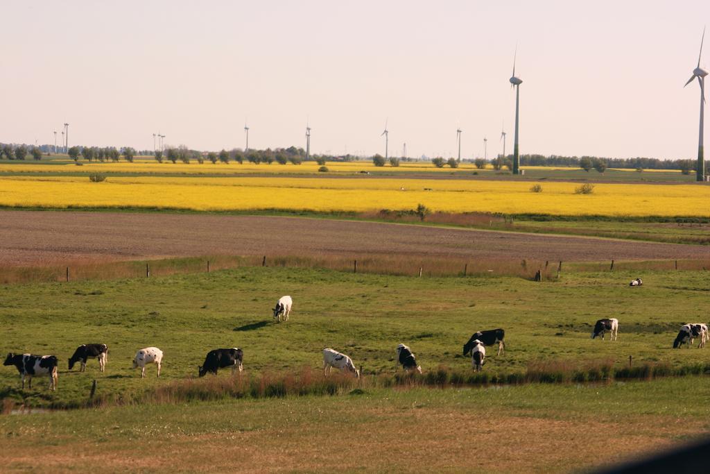 Landhaus Krabbe Von Greetsiel Zewnętrze zdjęcie